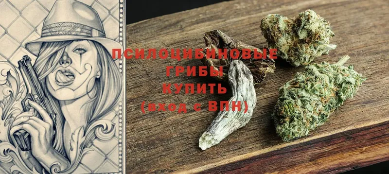 кракен вход  Знаменск  Галлюциногенные грибы Magic Shrooms  закладки 